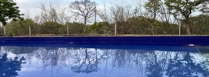 2571/08 Swimming Pool.jpg